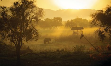 Идея на каникулы: «разбить лагерь» в Four Seasons Tented Camp Golden Triangle