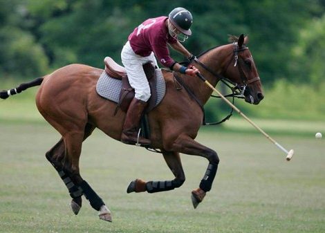 Sport & Lifestyle. «Британский день поло»