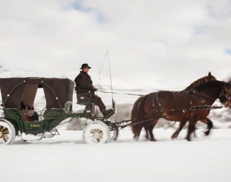 Travel News: прогулка в карете Hermès от отеля Les Airelles в Куршевеле