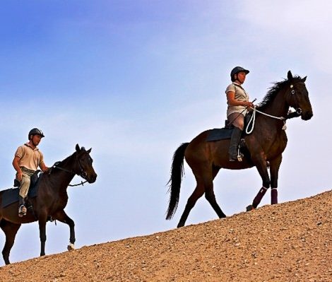 Новости: Катание на лошадях на острове  Sir Bani Yas рядом с курортом Desert Islands Resort & Spa by Anantara в Абу-Даби