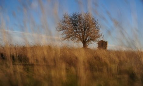 Art & More: за Тарковским — в Швецию. Интервью с фотографом Викторией Ивлевой