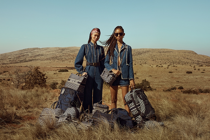 Shoes & Bags Blog: дама сдавала в багаж… чемодан и саквояж [от Dior]