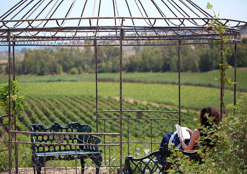 #PostaБизнес: in vino veritas – что думают производители вина из Италии, Великобритании, Испании и Уругвая о COVID-19