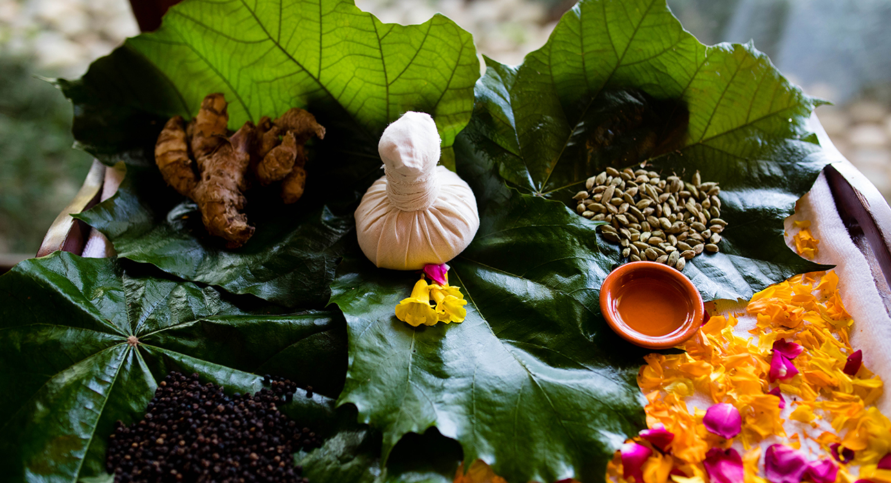 Ananda in the Himalayas