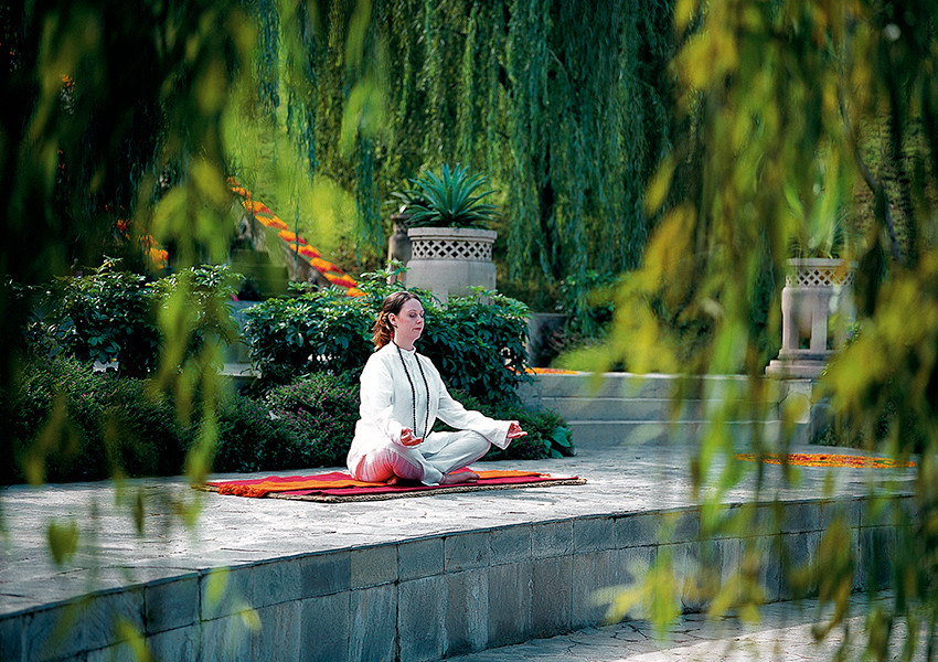 Ananda in the Himalayas