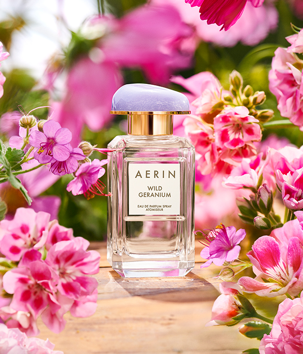 Wild Geranium, Aerin