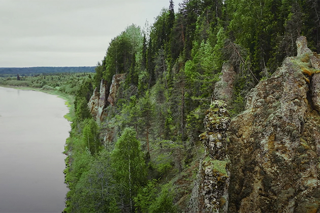 Видео дня: WWF сняла фильм об экспедиции в дикую тайгу в Архангельской области