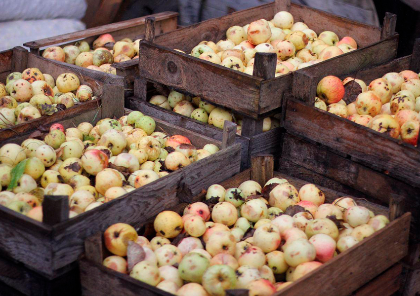 I Love Cider: дегустируем творения лучших российских сидроделен 19 июня на «Флаконе»