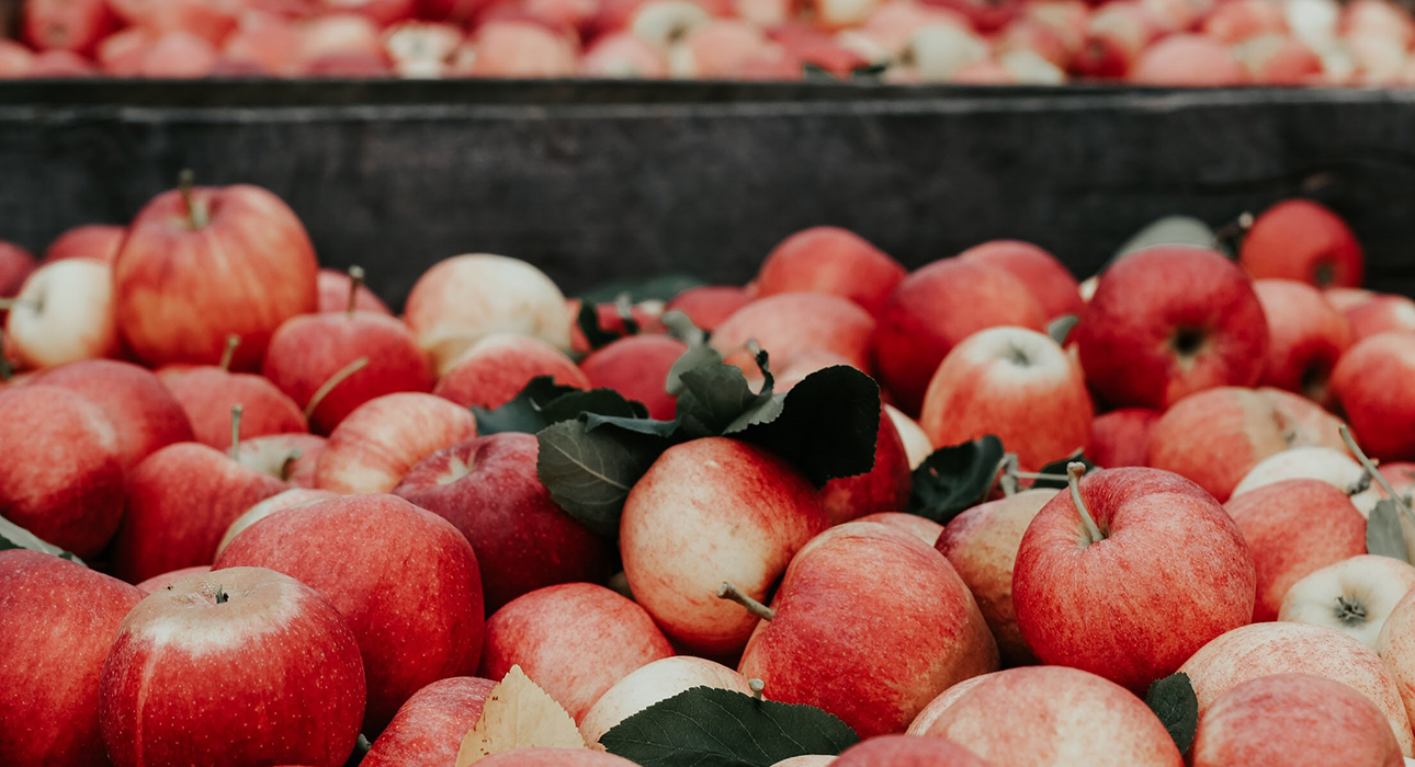 I Love Cider: дегустируем творения лучших российских сидроделен 19 июня на «Флаконе»