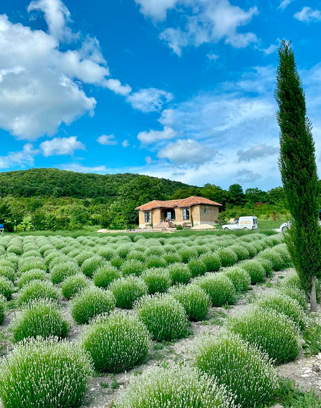 Maison Des Plantes Aromatiques