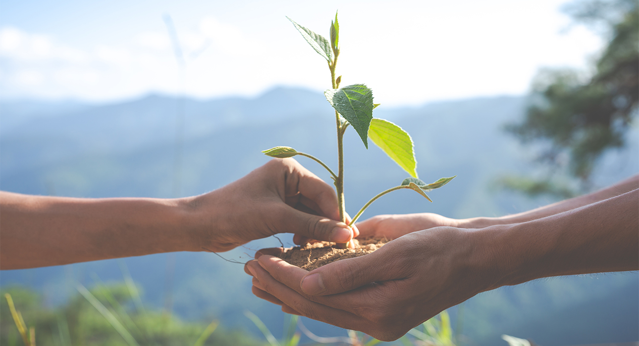 Eco Living: доклад ООН — большинство изменений климата необратимы