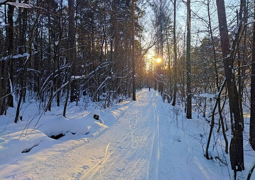 «Ромашково»