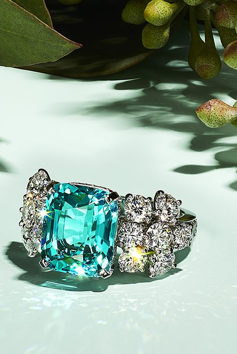 Часы &amp;&nbsp;Караты: Tiffany &amp;&nbsp;Co. представляет новые украшения из&nbsp;коллекции Botanica: Blue Book 2022