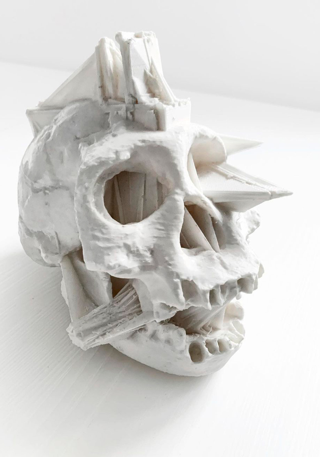 Кирилл Рейв. Skull of Civilization