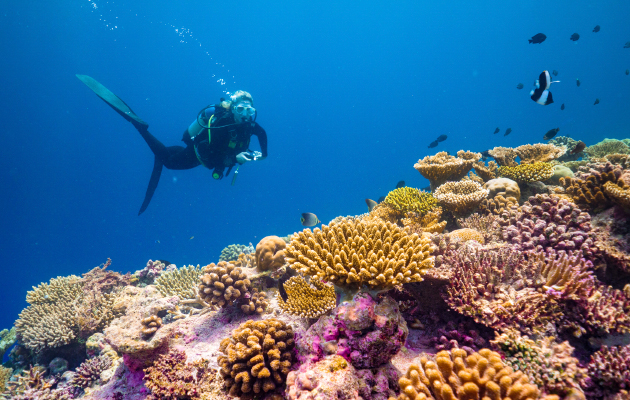 Baglioni Resort Maldives (Мальдивы)