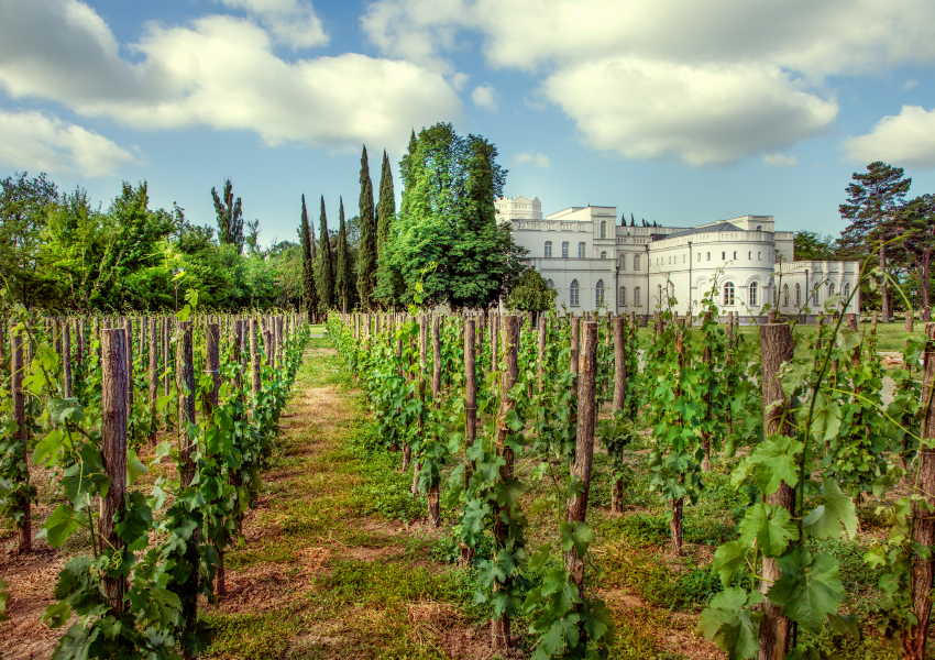 «Казбек». Винный ужин с Château Mukhrani