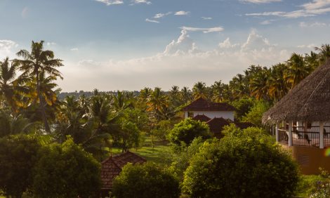 Health & Travel: восстановление организма в&nbsp;аюрведической клинике Kalari Rasayana в&nbsp;Индии