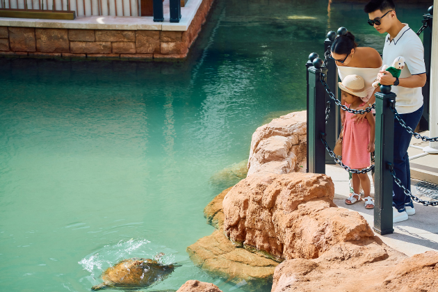 Jumeirah Al Naseem (ОАЭ)