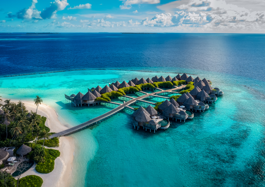 С 24 по 31 июля в отеле The Nautilus Maldives впервые пройдет Ocean Discovery Week