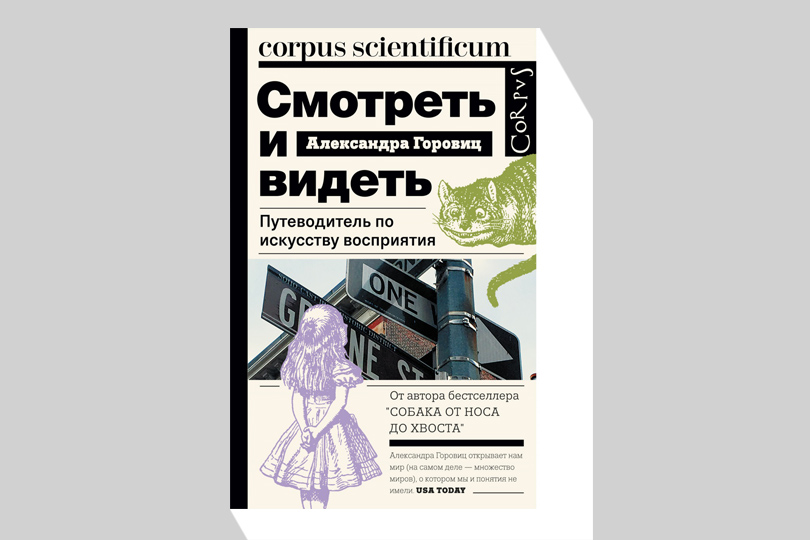 Александра Горовиц. Смотреть и видеть. Путеводитель по искусству восприятия. М.: Corpus, 2017. Перевод с английского С. Долотовской