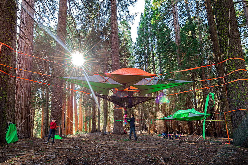 Подвесные тенты Tentsile в национальном парке «Нууксио»