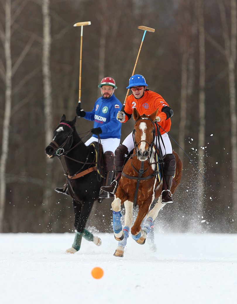 Турнир по поло на снегу Tseleevo Winter Open