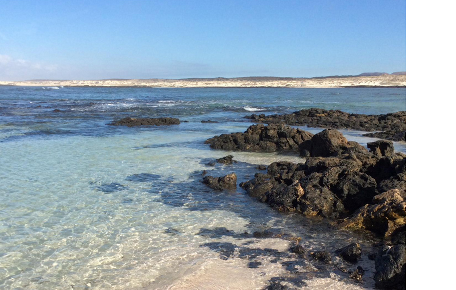 Испанский пляж El Cotillo Beach & Lagoons, занявший один из Канарских островов