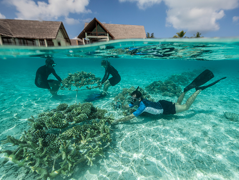 Все по-частному: остров Four Seasons Private Island Maldives at Voavah