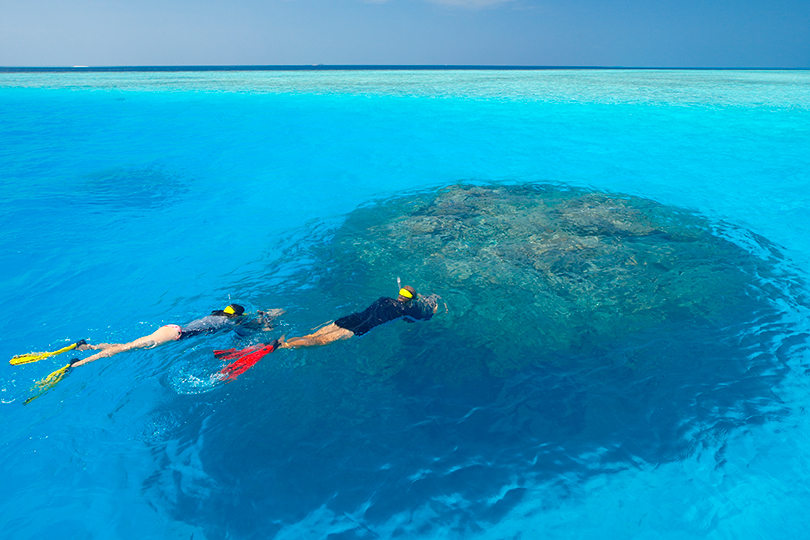 Куда поехать зимой: спасение рифов и погружение с акулами в отеле Baros Maldives