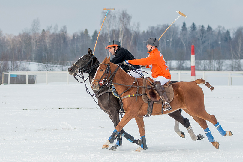 Sport & Lifestyle: Первый российско-швейцарский чемпионат по поло на снегу прошел в Целеево