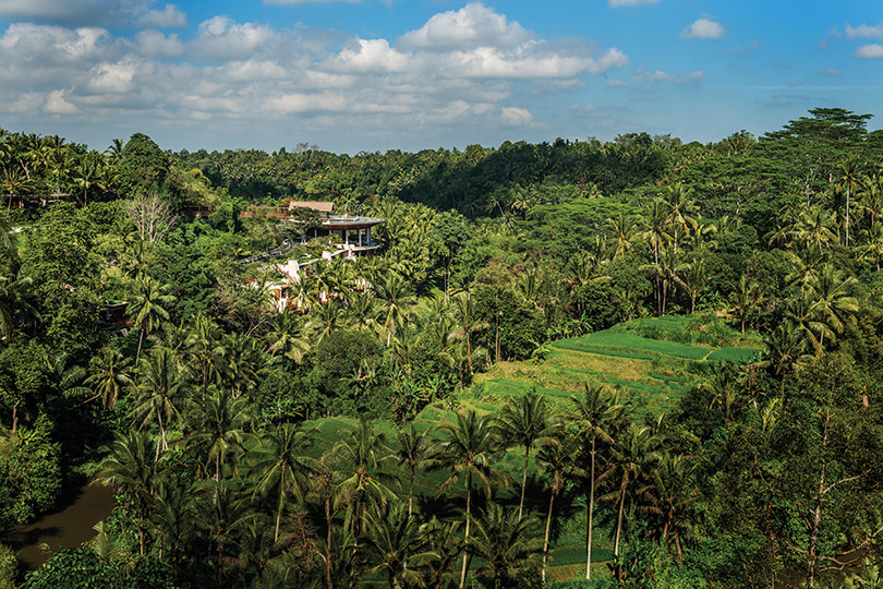 Два в одном: идеальный отдых на Бали. Убуд: Four Seasons Resort Bali at Sayan